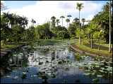 Pampelmoes Gardens