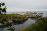 Point Lobos_Carmel-23.jpg