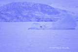 Meeting on the ice field