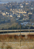 Painswick poles