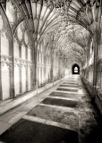 cloisters.jpg