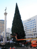 Christmas Tree at Union Square; lighting to follow in two weeks