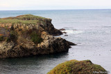 View from Belinda Point