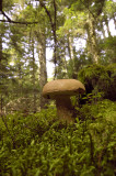 _DSC0168ret.JPG