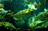 DSC_0076ret.JPG