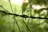 DSC_0014ret.JPG