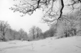 DSC_1679ret.JPG