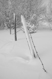 DSC_1689ret.JPG