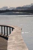 DSC_2556.JPG