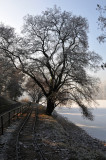 DSC_5176.jpg