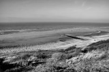 DSC_7323ret n&b.JPG