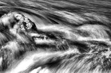 DSC_5709retnb.JPG