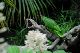 DSC_3173.jpg