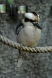 DSC_3370.jpg
