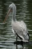 DSC_3904.jpg