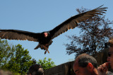 DSC_4148.jpg