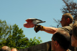 DSC_4241.jpg