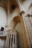 DSC_7922.JPG
