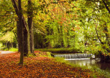 Canal Walk, Kilkenny City.jpg