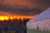 A Sky Of Fire & Roof Of Ice.jpg