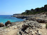 Mondrago & Calo Des Borgit 06.JPG
