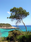 Mondrago & Calo Des Borgit 07.JPG
