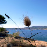 Santa Ponca Mallorca 07.JPG