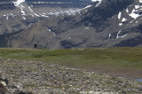Saskatchewan Glacier - View back