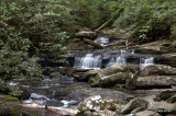 Chimney Tops Trail 2