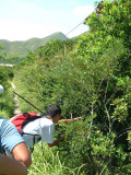 DSCF0039.jpg