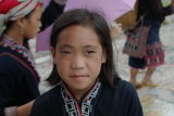 Sapa