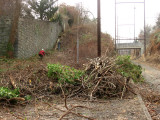 Winter Cleanup along the Cynwyd Heritage Trail