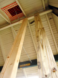 Temporary posts hold up the canopy.