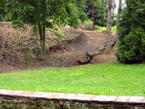 the path - from across Vine Creek below