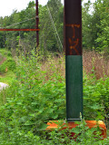 The path leaves the Cynwyd Trail just before this green-painted post