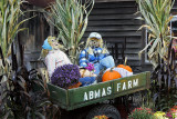 Abmas Farm, #6