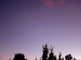 59.JPG