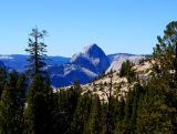 Olmsted_Point_Half_Dome.jpg