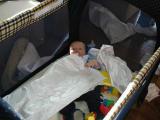 joey helps unpack in his pack-n-play (the only safe place for him!)