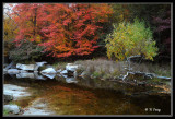 10-13-08__084s.jpg