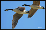 090221__060s.jpg