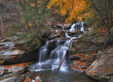 101022_195-6-8.jpg