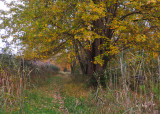 101023_220_1.jpg