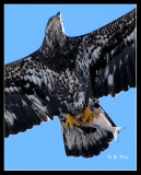 080302_353crop.jpg