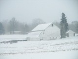 country winter