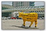 Yellow Pages Cow