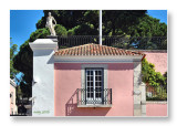 Lisbon windows