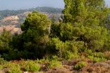 Anjara area in AJLOUN 3.JPG