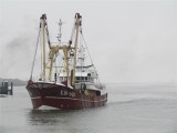 KW-145 CATARINA