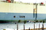 Courageous Ace -PICT0318.jpg